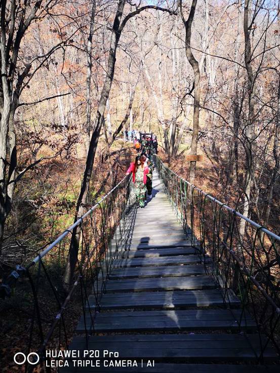 微信图片_20181023091403