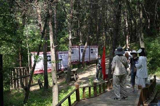 说明: 微信图片_20250626140242