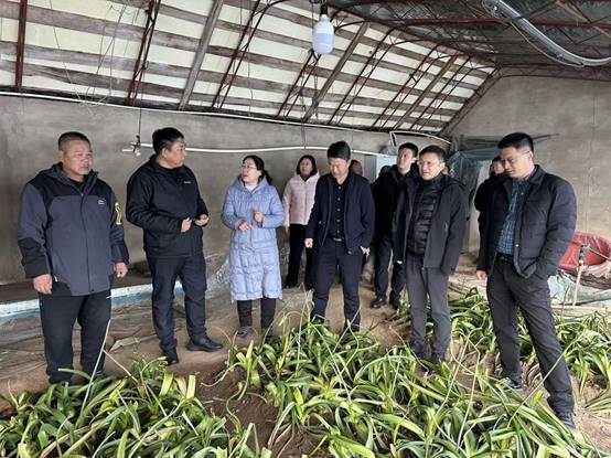 说明: 微信图片_20251119210727_129_137